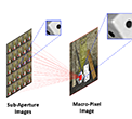 Spatial-angular interaction for light field image super-reso